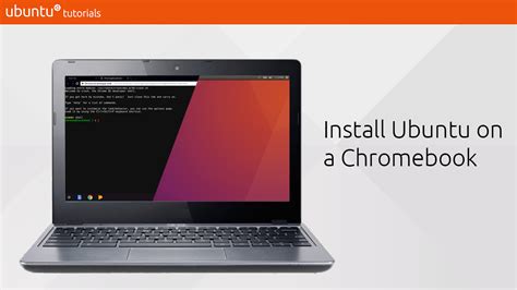 Now, run the installer using. . Linux download chromebook